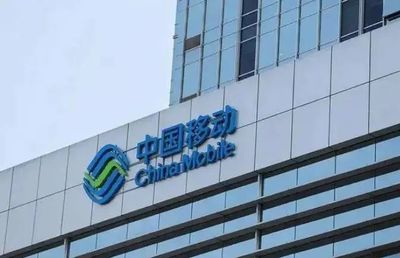 軟件開發(fā)項目中標候選人變更之謎 報價調(diào)整背后的合規(guī)性與行業(yè)思考