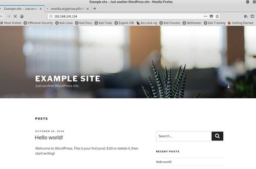 網(wǎng)絡(luò)滲透測試實(shí)驗(yàn)4